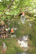 Changeling - 2mL Sample
