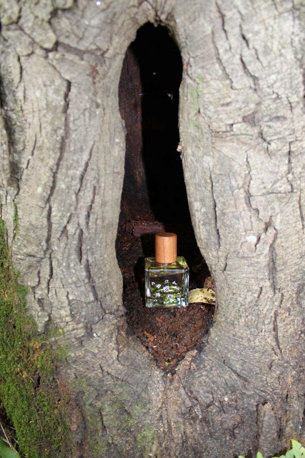 Changeling - 50mL